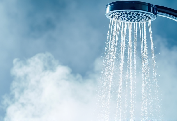 Descripción de la imagen